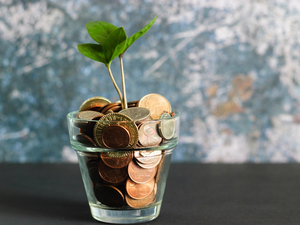 Smarter bundles, bigger savings
